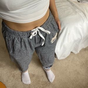 🌟Roots boyfriend sweatpants -grey